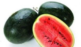 100万网红吃瓜,共赴吃瓜盛宴