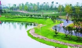 汝州都市爆料最新消息